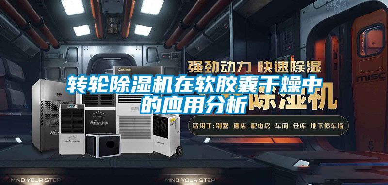 转轮草莓视频黄色在线观看机在软胶囊干燥中的应用分析