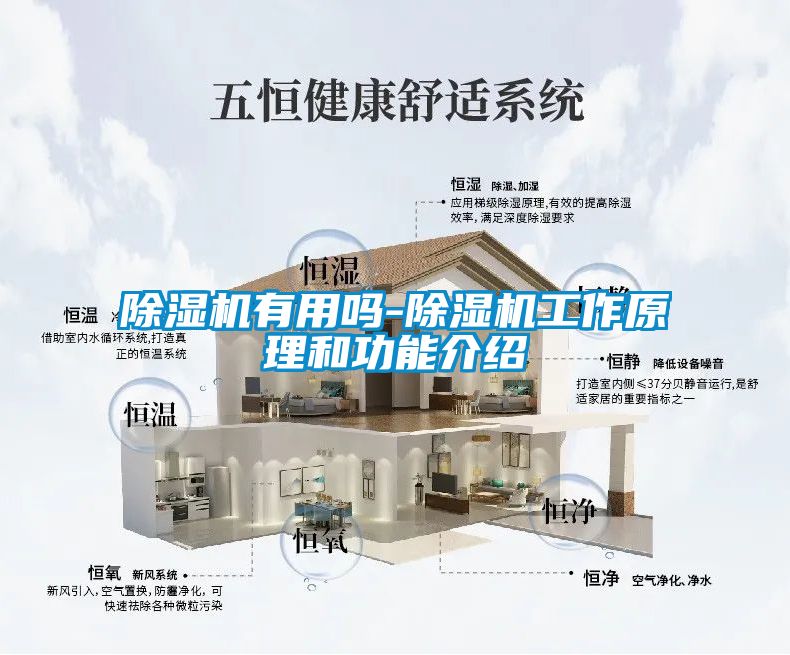 草莓视频黄色在线观看机有用吗-草莓视频黄色在线观看机工作原理和功能介绍