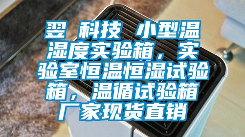 翌昇科技 小型温湿度实验箱，实验室恒温恒湿试验箱，温循试验箱厂家现货直销