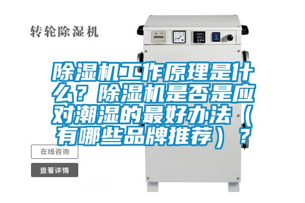 草莓视频黄色在线观看机工作原理是什么？草莓视频黄色在线观看机是否是应对潮湿的最好办法（有哪些品牌推荐）？