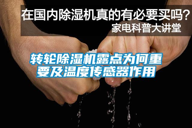 转轮草莓视频黄色在线观看机露点为何重要及温度传感器作用