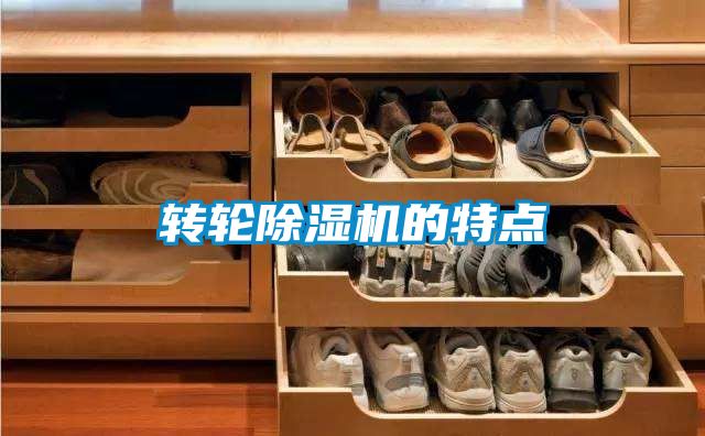 转轮草莓视频黄色在线观看机的特点