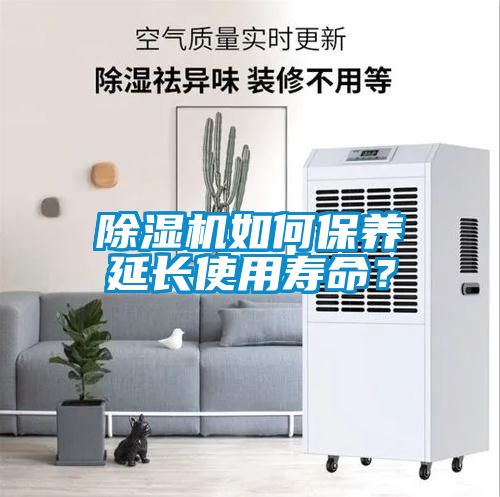 草莓视频黄色在线观看机如何保养延长使用寿命？