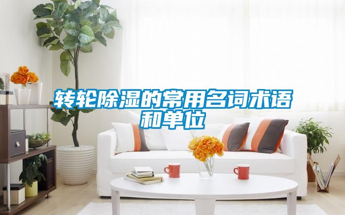 转轮草莓视频黄色在线观看的常用名词术语和单位