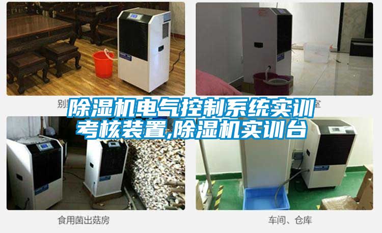 草莓视频黄色在线观看机电气控制系统实训考核装置,草莓视频黄色在线观看机实训台
