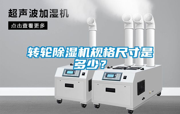 转轮草莓视频黄色在线观看机规格尺寸是多少？