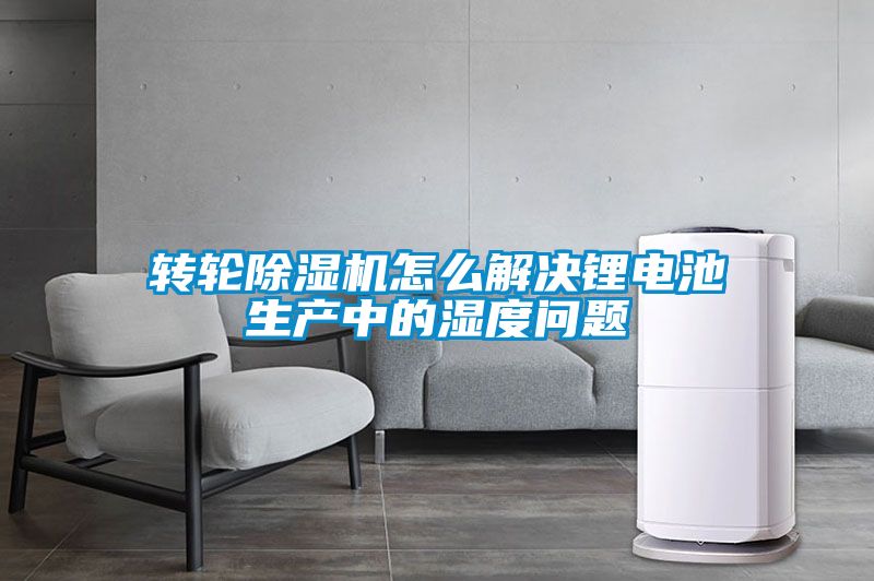 转轮草莓视频黄色在线观看机怎么解决锂电池生产中的湿度问题