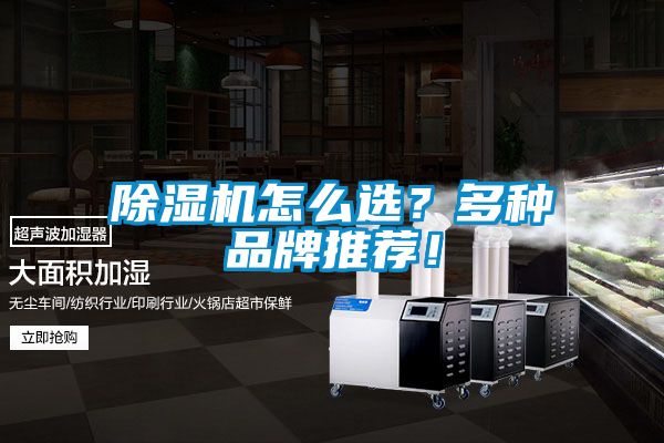 草莓视频黄色在线观看机怎么选？多种品牌推荐！