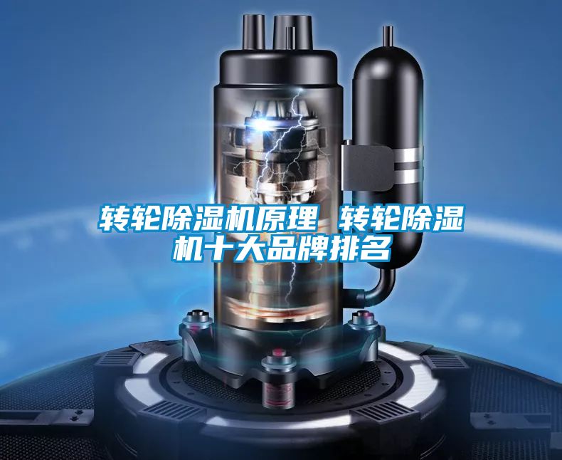 转轮草莓视频黄色在线观看机原理 转轮草莓视频黄色在线观看机十大品牌排名
