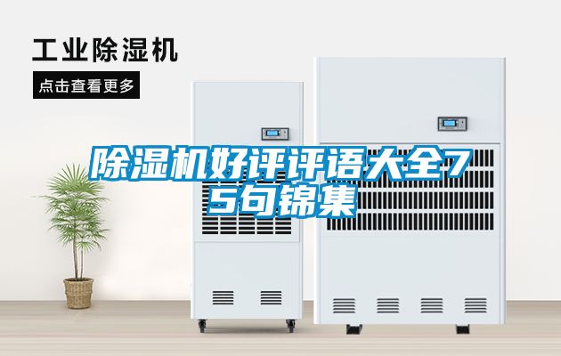 草莓视频黄色在线观看机好评评语大全75句锦集