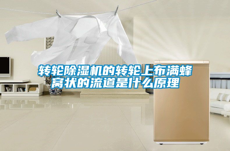 转轮草莓视频黄色在线观看机的转轮上布满蜂窝状的流道是什么原理