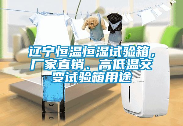 辽宁恒温恒湿试验箱，厂家直销、高低温交变试验箱用途