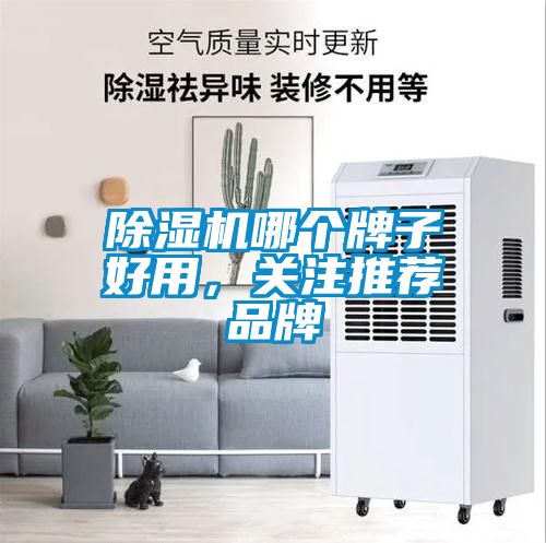 草莓视频黄色在线观看机哪个牌子好用，关注推荐品牌