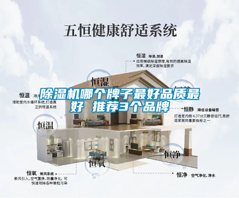 草莓视频黄色在线观看机哪个牌子最好品质最好 推荐3个品牌