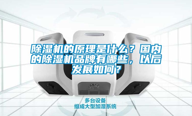 草莓视频黄色在线观看机的原理是什么？国内的草莓视频黄色在线观看机品牌有哪些，以后发展如何？