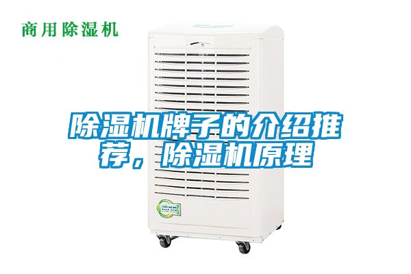 草莓视频黄色在线观看机牌子的介绍推荐，草莓视频黄色在线观看机原理