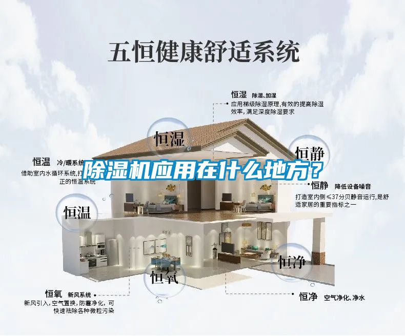 草莓视频黄色在线观看机应用在什么地方？