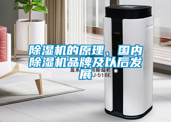 草莓视频黄色在线观看机的原理、国内草莓视频黄色在线观看机品牌及以后发展