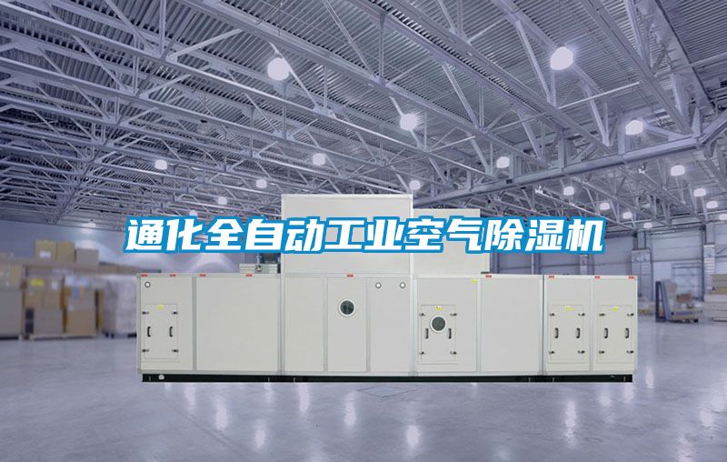 通化全自动工业空气草莓视频黄色在线观看机