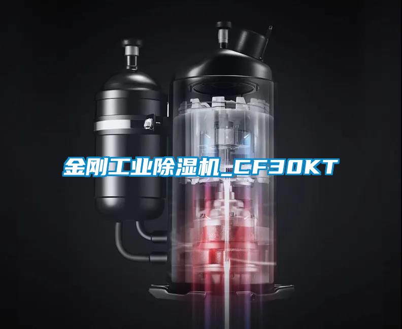 金刚工业草莓视频黄色在线观看机_CF30KT