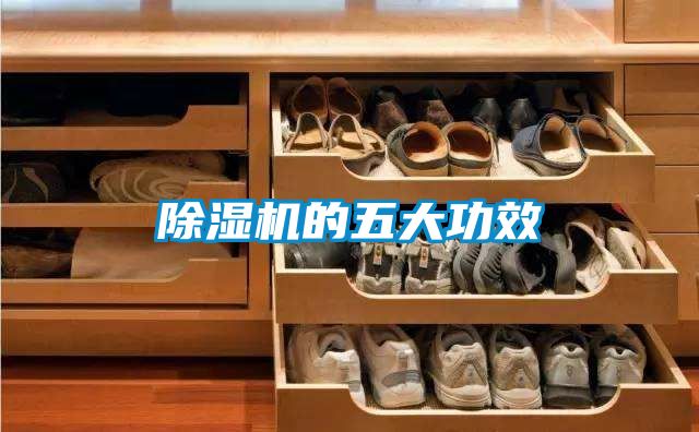 草莓视频黄色在线观看机的五大功效