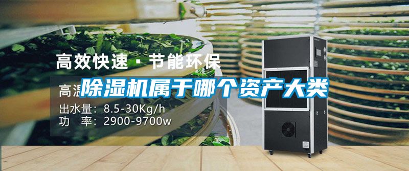 草莓视频黄色在线观看机属于哪个资产大类