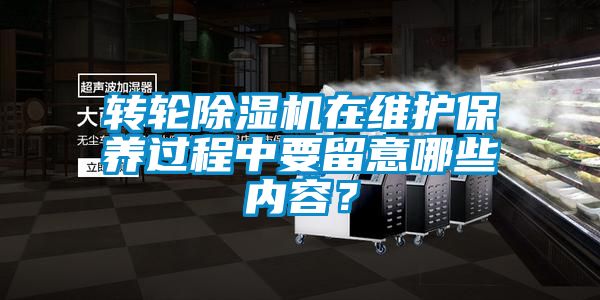 转轮草莓视频黄色在线观看机在维护保养过程中要留意哪些内容？