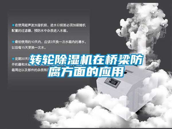 转轮草莓视频黄色在线观看机在桥梁防腐方面的应用