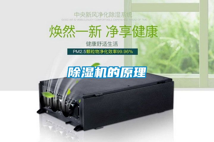 草莓视频黄色在线观看机的原理