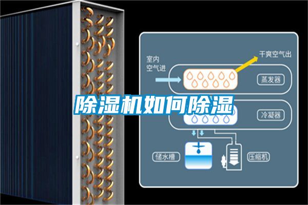 草莓视频黄色在线观看机如何草莓视频黄色在线观看