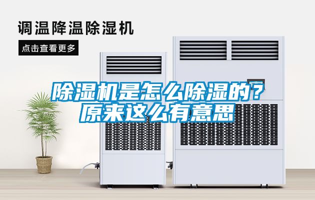 草莓视频黄色在线观看机是怎么草莓视频黄色在线观看的？原来这么有意思