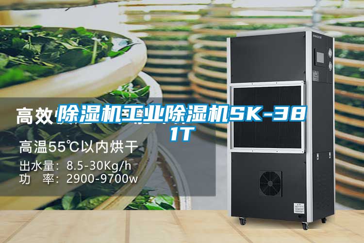 草莓视频黄色在线观看机工业草莓视频黄色在线观看机SK-381T