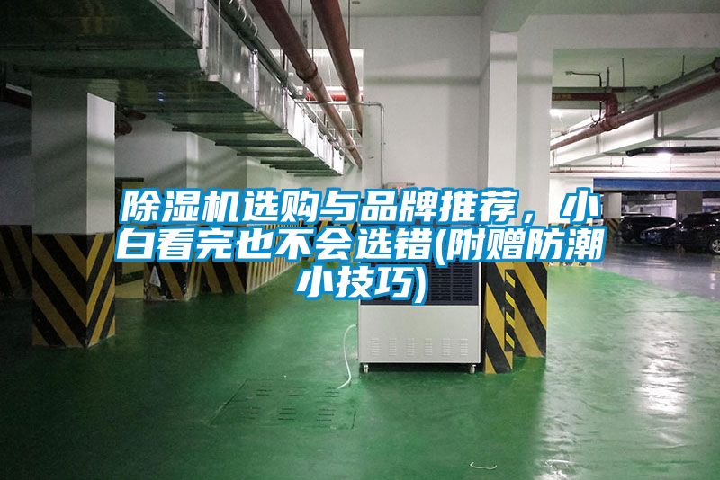 草莓视频黄色在线观看机选购与品牌推荐，小白看完也不会选错(附赠防潮小技巧)