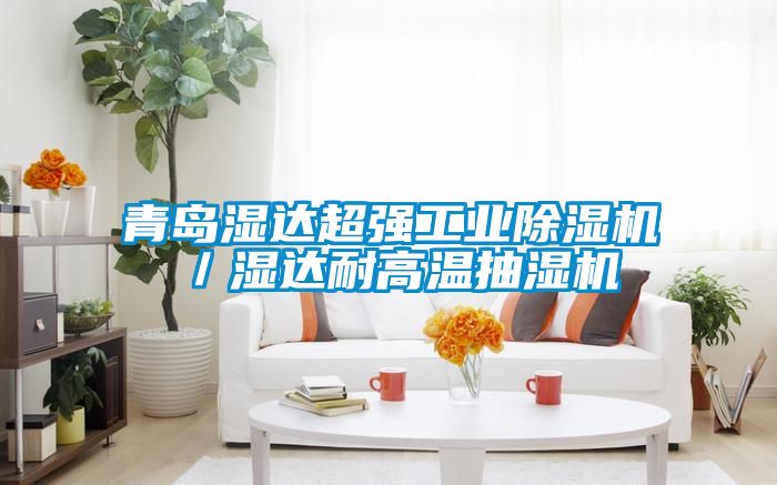 青岛湿达超强工业草莓视频黄色在线观看机／湿达耐高温抽湿机