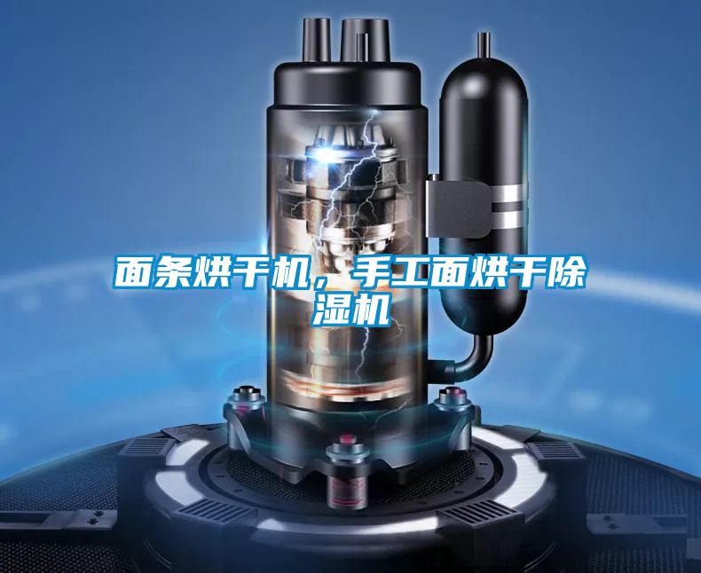 面条烘干机，手工面烘干草莓视频黄色在线观看机