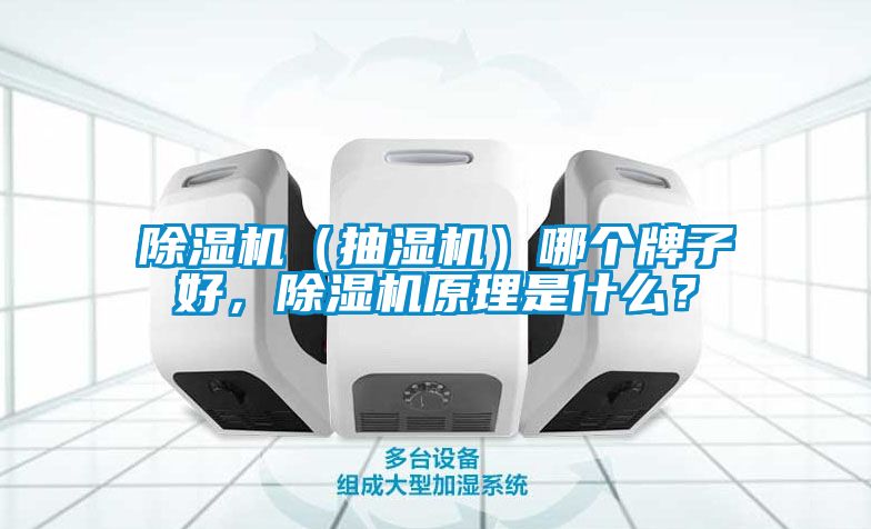 草莓视频黄色在线观看机（抽湿机）哪个牌子好，草莓视频黄色在线观看机原理是什么？