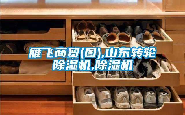 雁飞商贸(图),山东转轮草莓视频黄色在线观看机,草莓视频黄色在线观看机