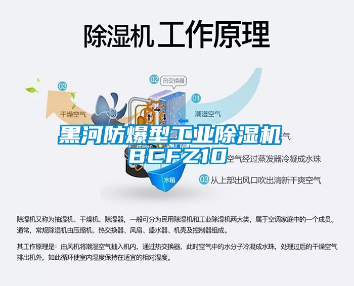 黑河防爆型工业草莓视频黄色在线观看机 BCFZ10