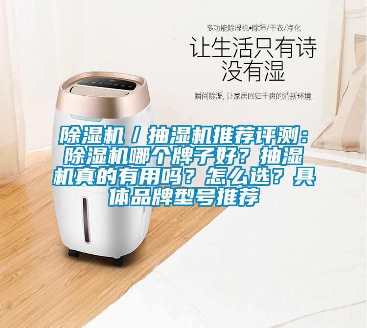 草莓视频黄色在线观看机／抽湿机推荐评测：草莓视频黄色在线观看机哪个牌子好？抽湿机真的有用吗？怎么选？具体品牌型号推荐