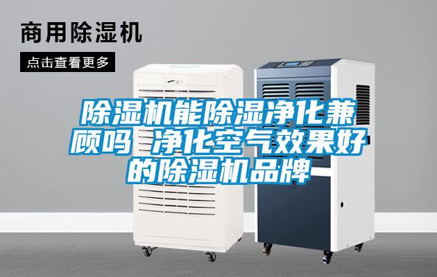 草莓视频黄色在线观看机能草莓视频黄色在线观看净化兼顾吗 净化空气效果好的草莓视频黄色在线观看机品牌