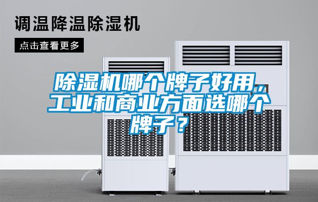 草莓视频黄色在线观看机哪个牌子好用，工业和商业方面选哪个牌子？