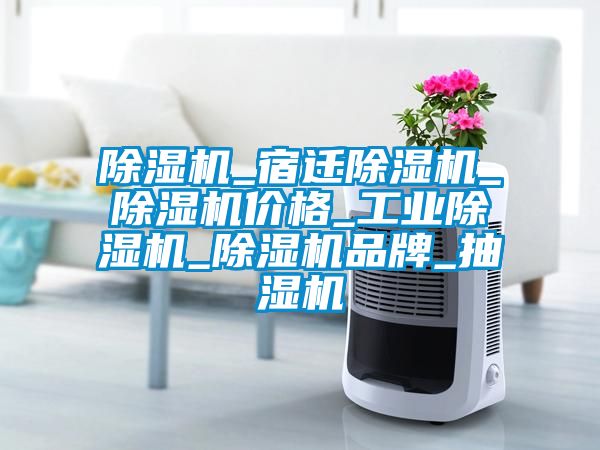 草莓视频黄色在线观看机_宿迁草莓视频黄色在线观看机_草莓视频黄色在线观看机价格_工业草莓视频黄色在线观看机_草莓视频黄色在线观看机品牌_抽湿机