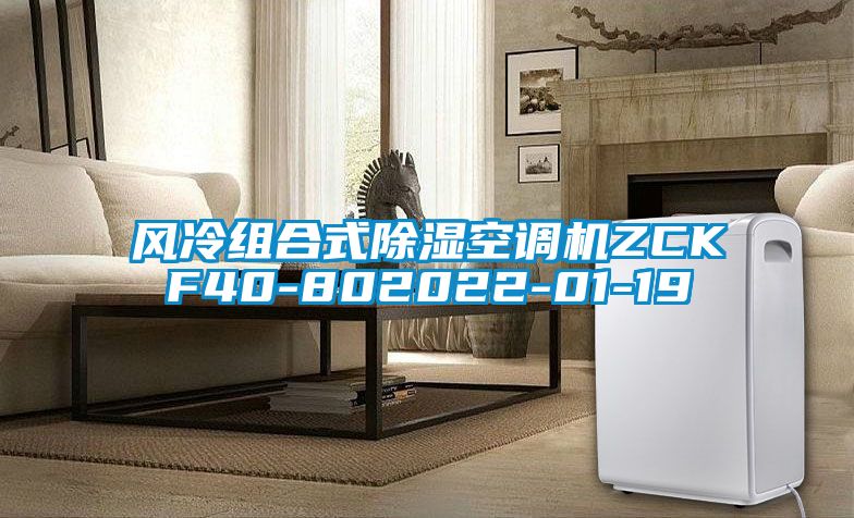 风冷组合式草莓视频黄色在线观看空调机ZCKF40-802022-01-19