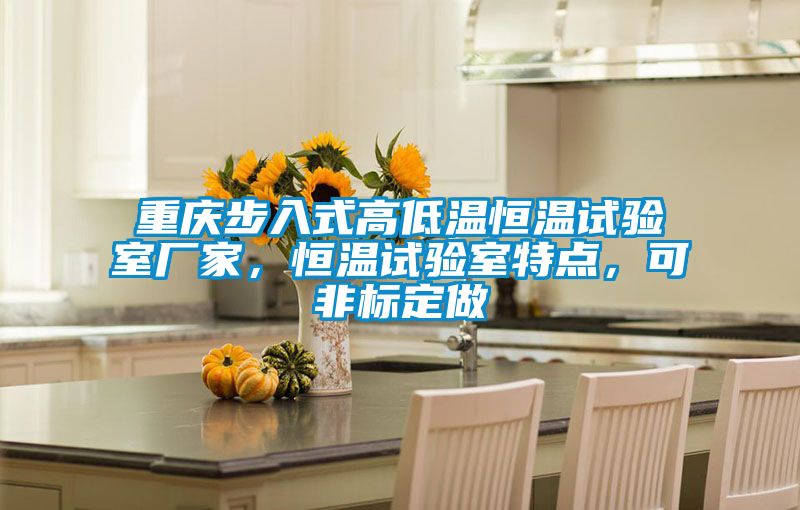 重庆步入式高低温恒温试验室厂家，恒温试验室特点，可非标定做