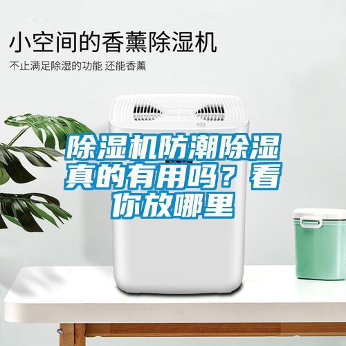 草莓视频黄色在线观看机防潮草莓视频黄色在线观看真的有用吗？看你放哪里