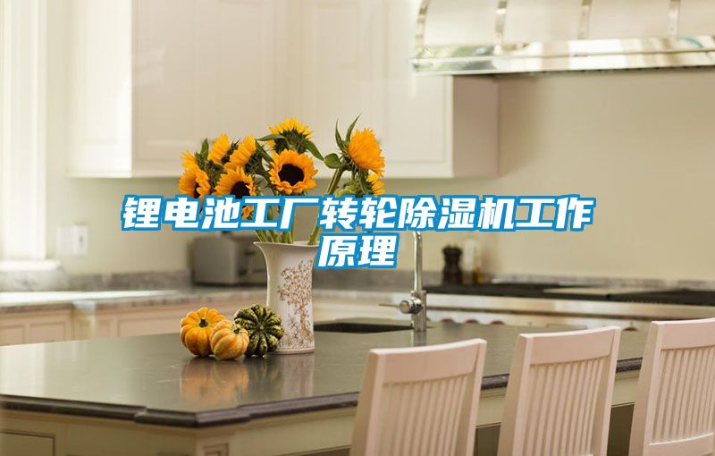 锂电池工厂转轮草莓视频黄色在线观看机工作原理