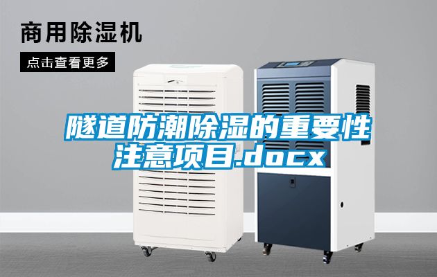 隧道防潮草莓视频黄色在线观看的重要性注意项目.docx