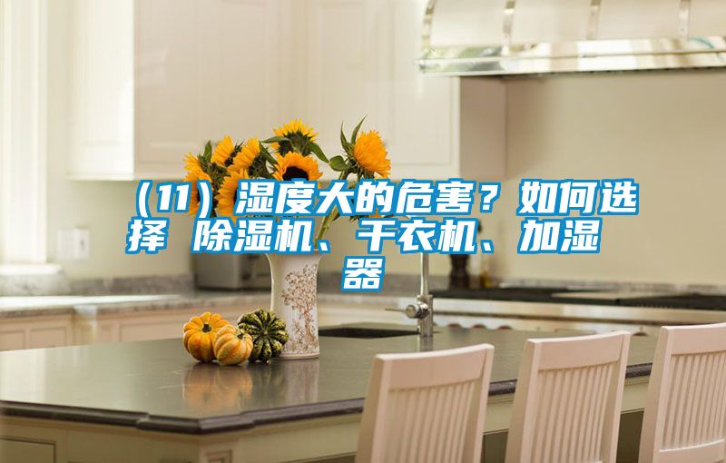 （11）湿度大的危害？如何选择 草莓视频黄色在线观看机、干衣机、加湿器