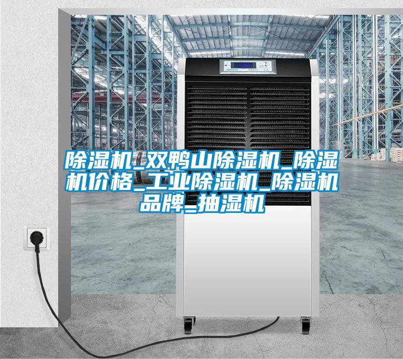 草莓视频黄色在线观看机_双鸭山草莓视频黄色在线观看机_草莓视频黄色在线观看机价格_工业草莓视频黄色在线观看机_草莓视频黄色在线观看机品牌_抽湿机