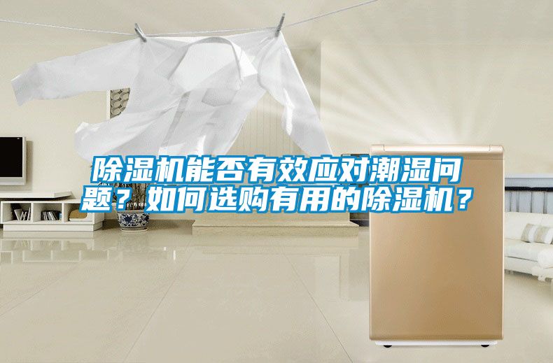 草莓视频黄色在线观看机能否有效应对潮湿问题？如何选购有用的草莓视频黄色在线观看机？